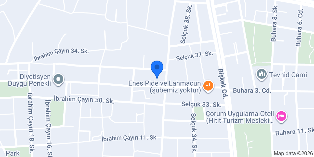 Anemon evleri konumu