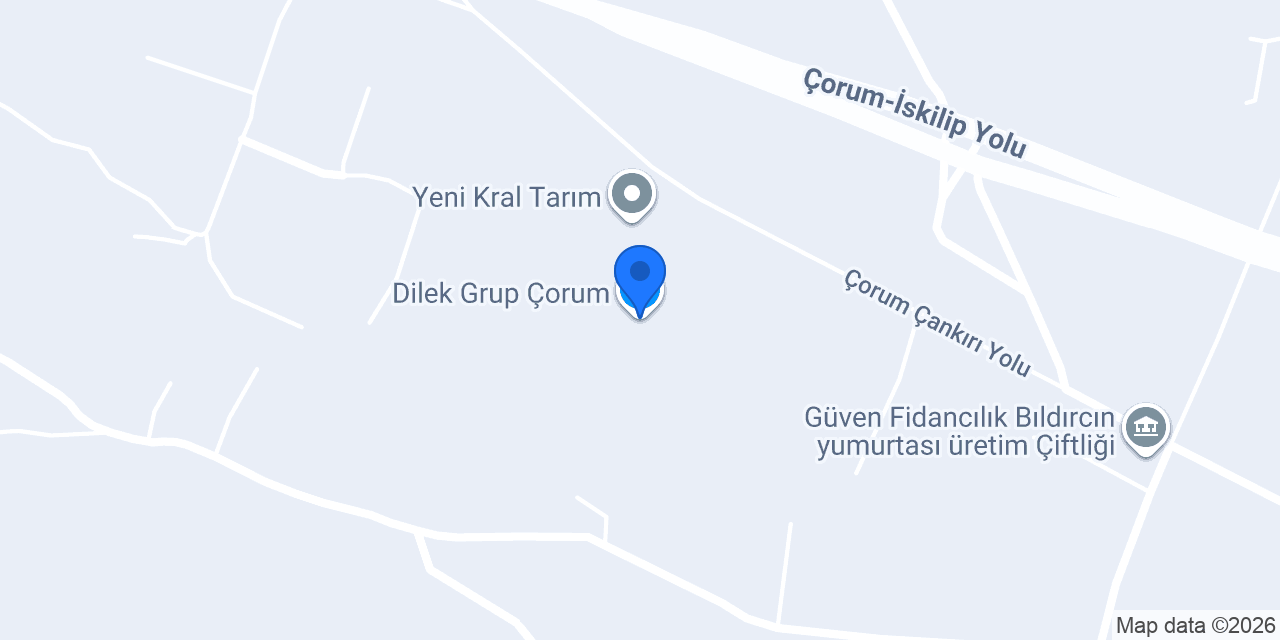 Dilek Grup Çorum konumu