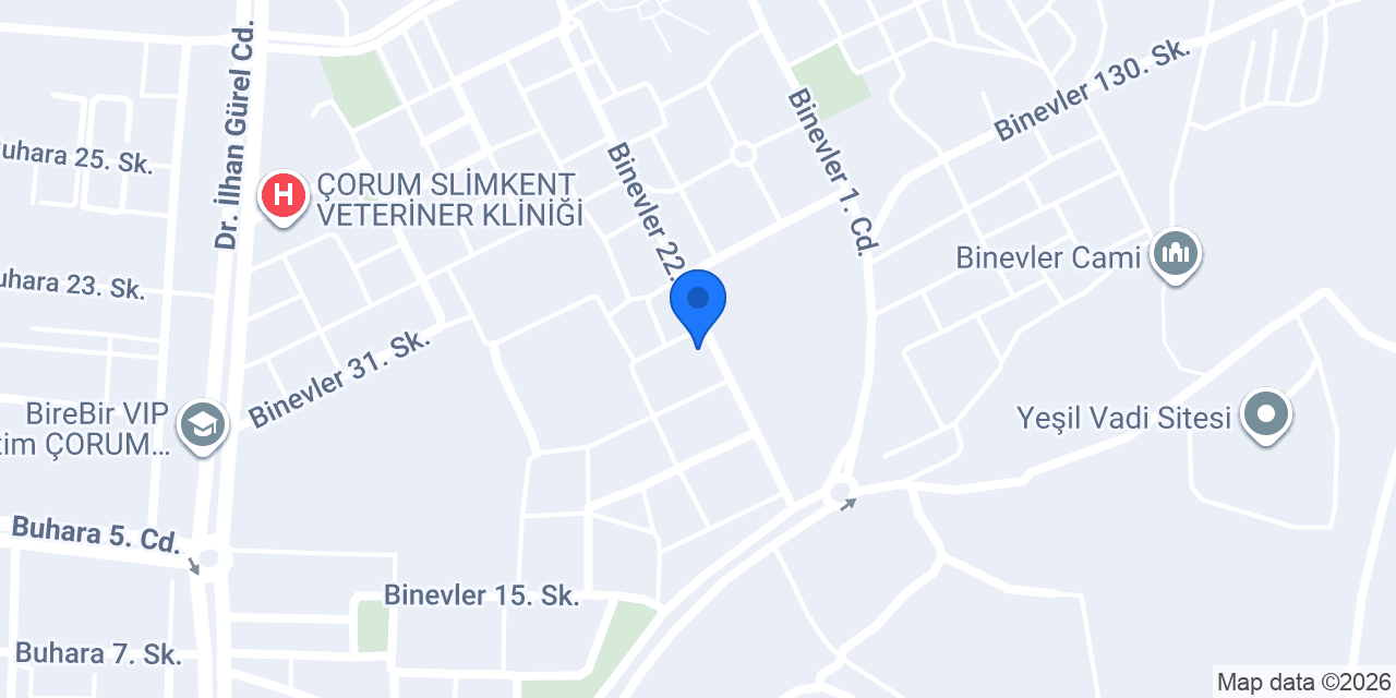 Çorum Sanat Akademi konumu