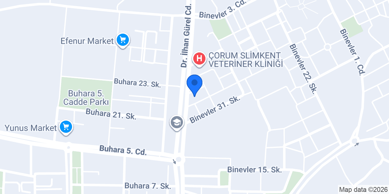 Era Sanat Akademi konumu