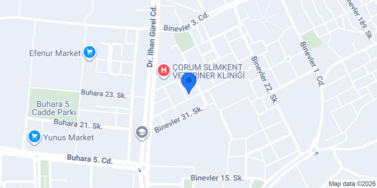 Fiza Danışmanlık konumu