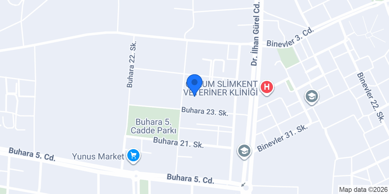 CorumKaymak dondurma&waffle buhara konumu