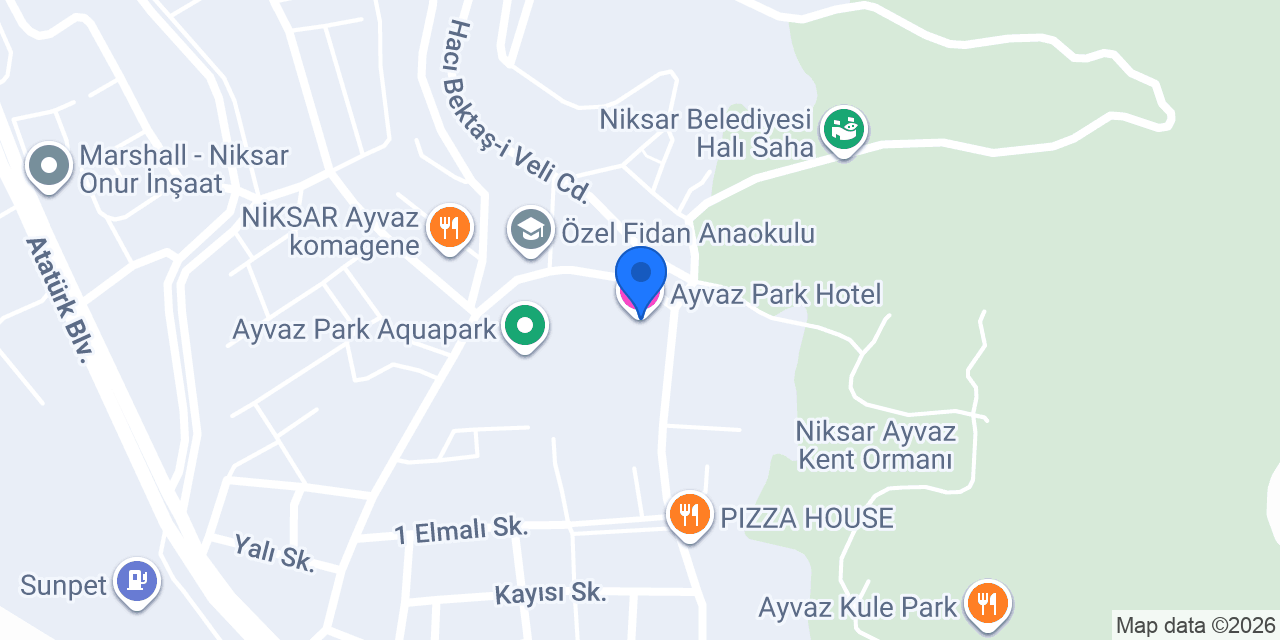 Ayvaz Park Hotel konumu