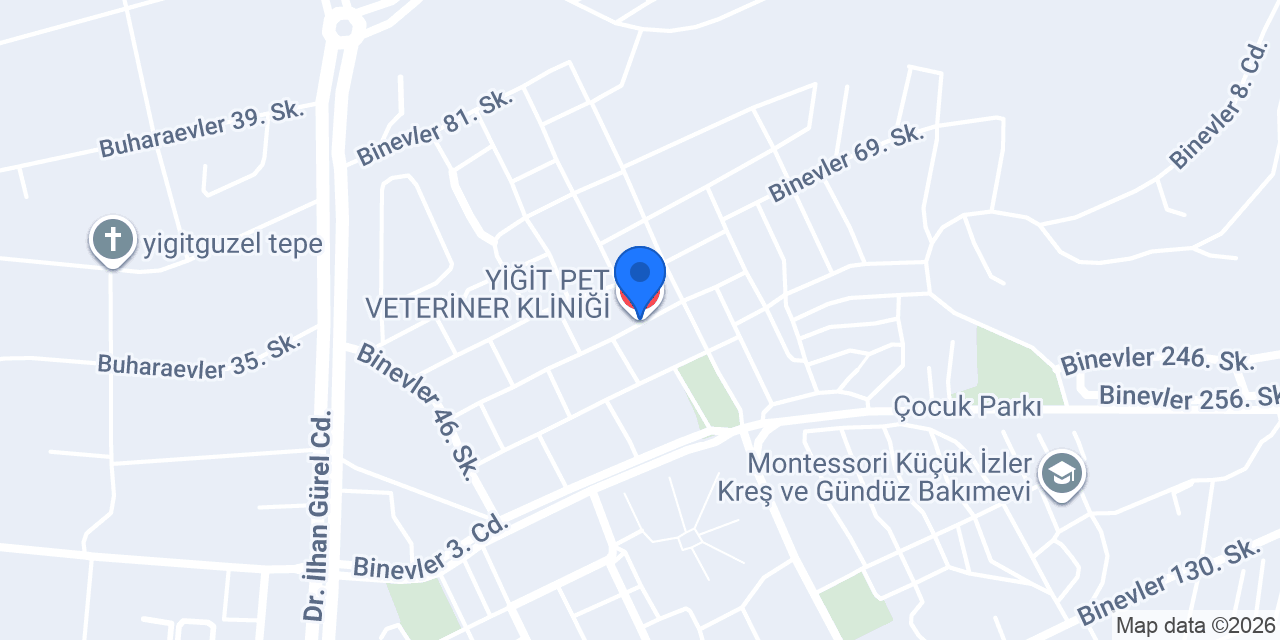 YİĞİT PET VETERİNER KLİNİĞİ konumu
