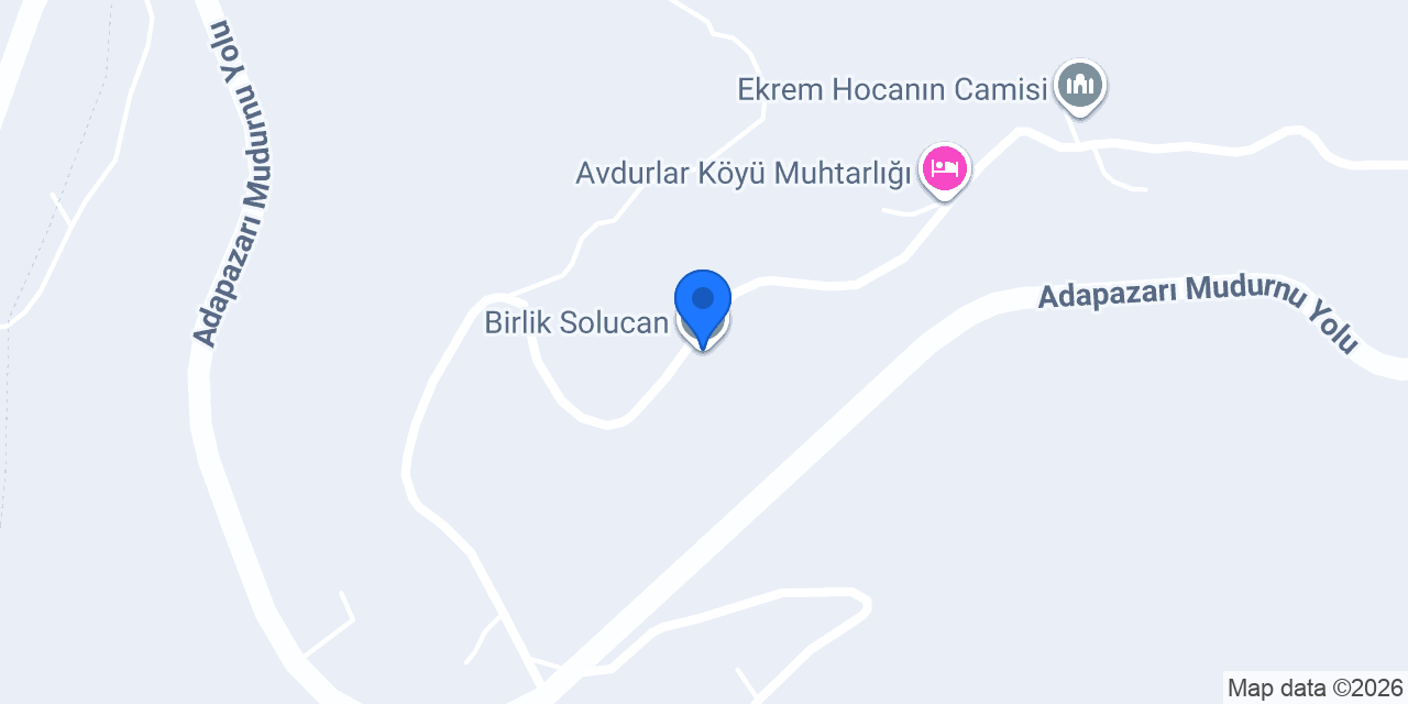 Birlik Solucan konumu