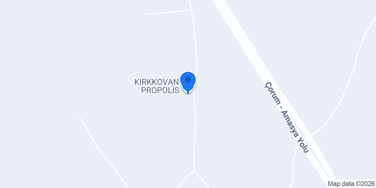 KIRKKOVAN PROPOLİS konumu