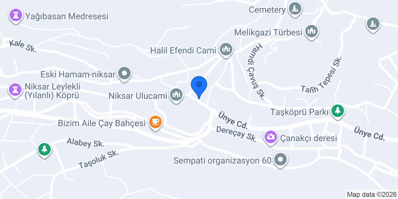 Üngör elektronik konumu