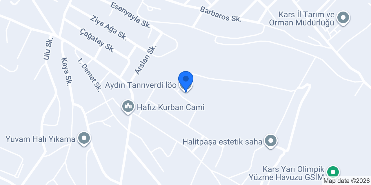 Aydın Tanrıverdi İöo konumu