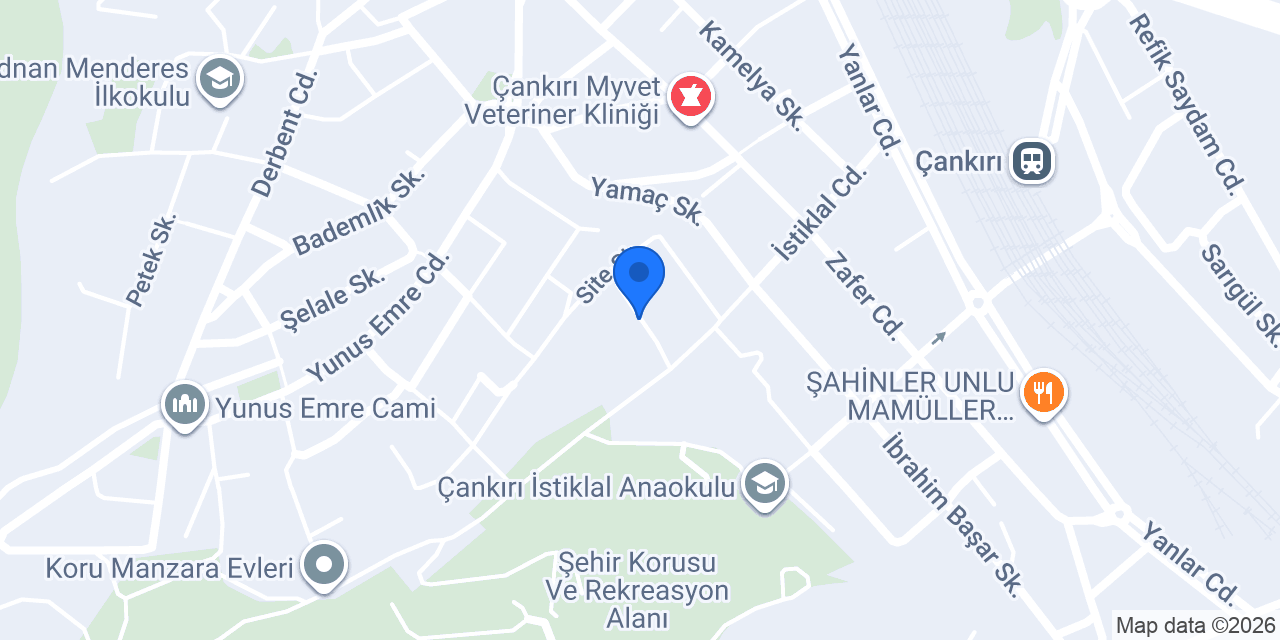 Meraklı Adam konumu