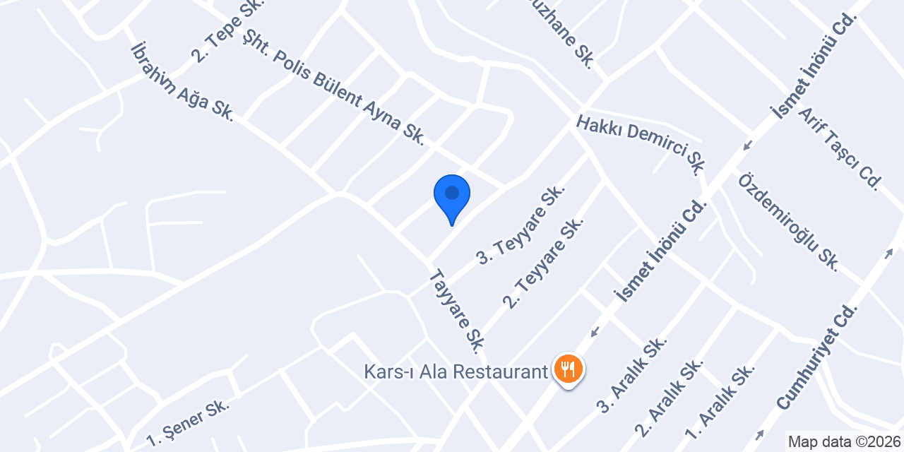 karlift asansör konumu