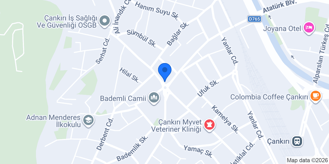 Nane Limon Eczanesi konumu