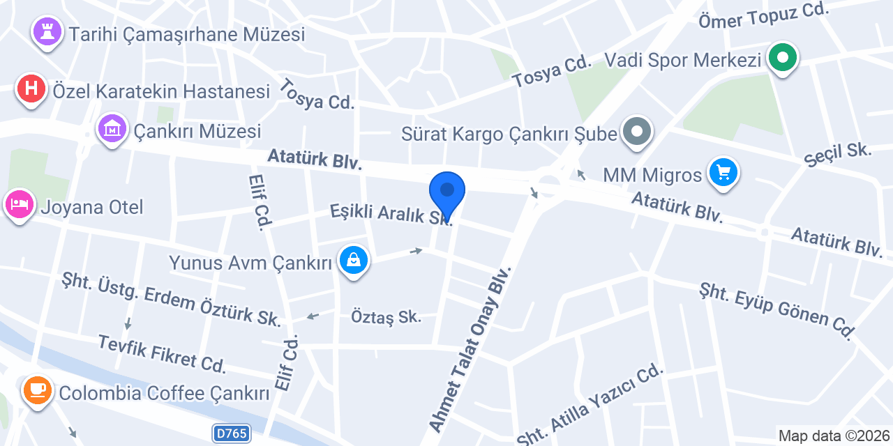 SARAY TOST VE BALIK EVİ konumu