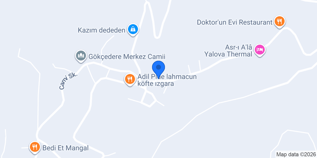 diESdi konumu