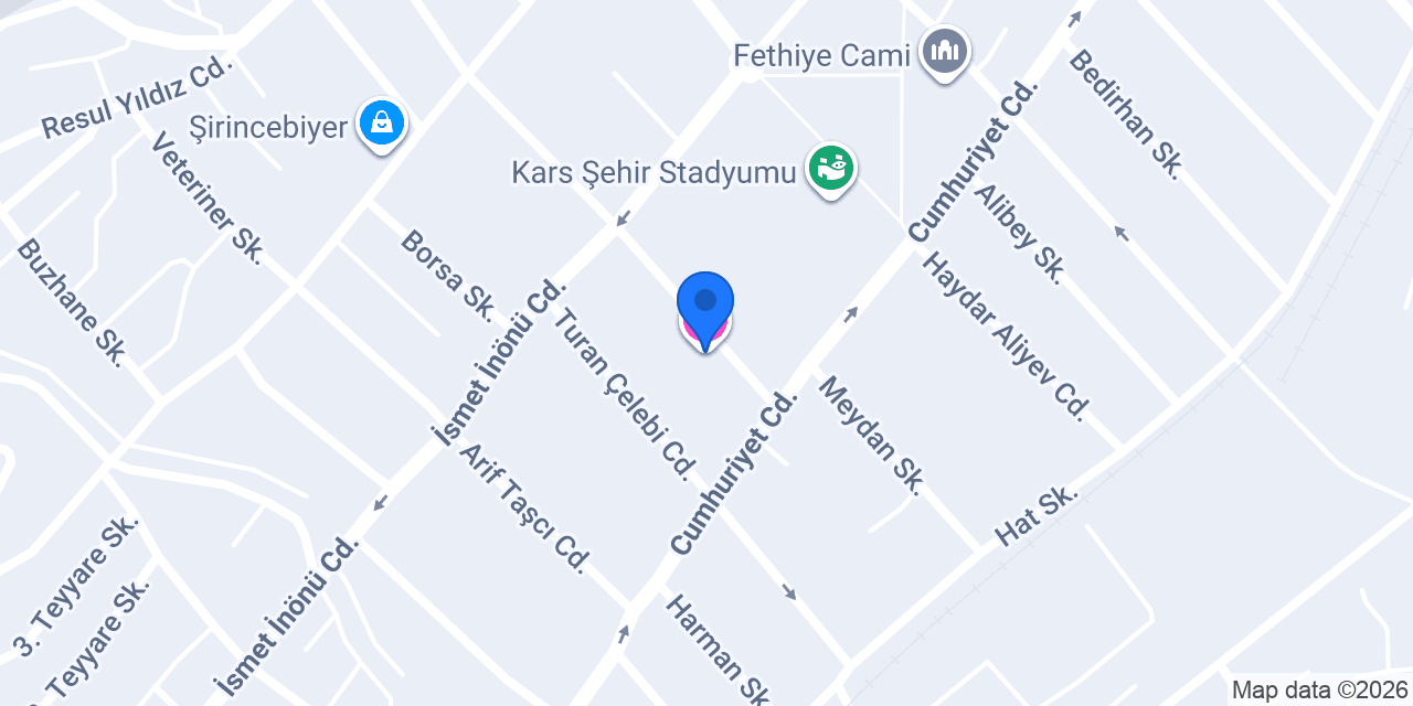 KARS ATAPARK BOUTIQUE HOTEL konumu