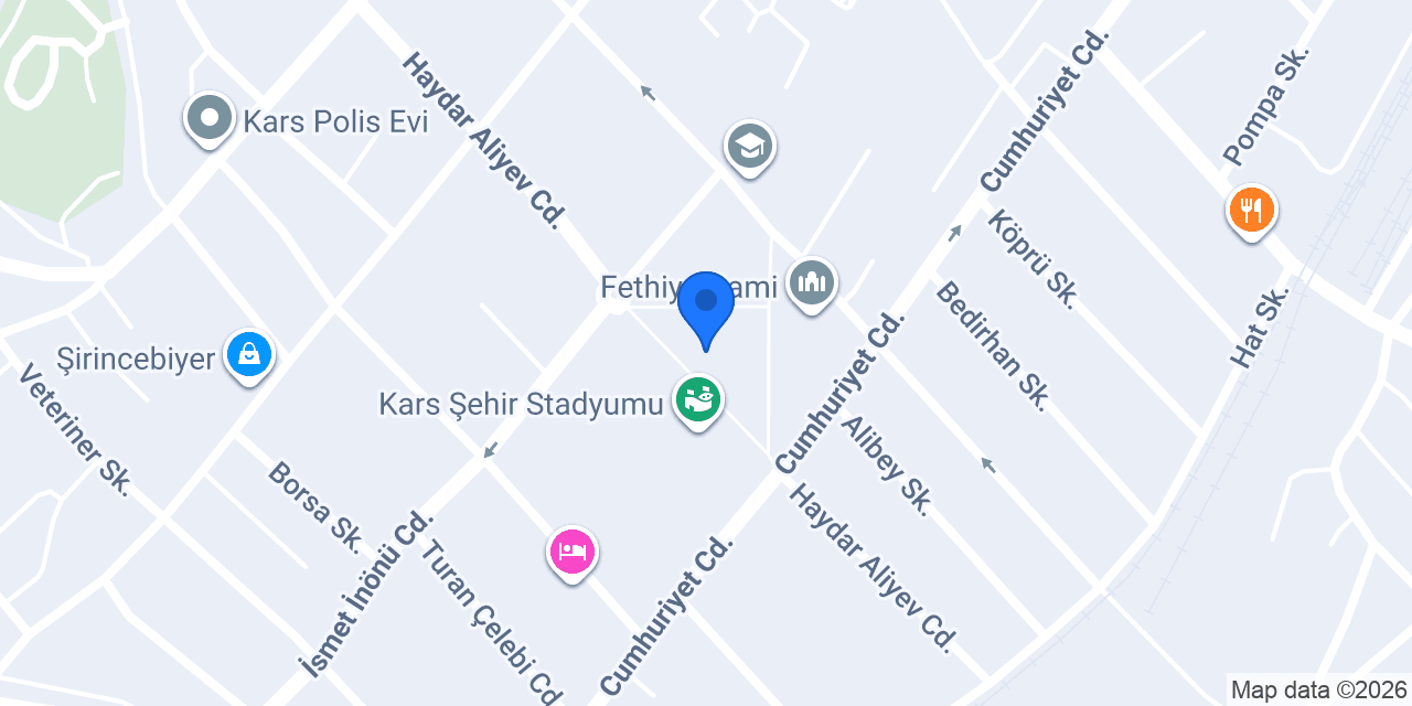 Sabri Özel Kars konumu