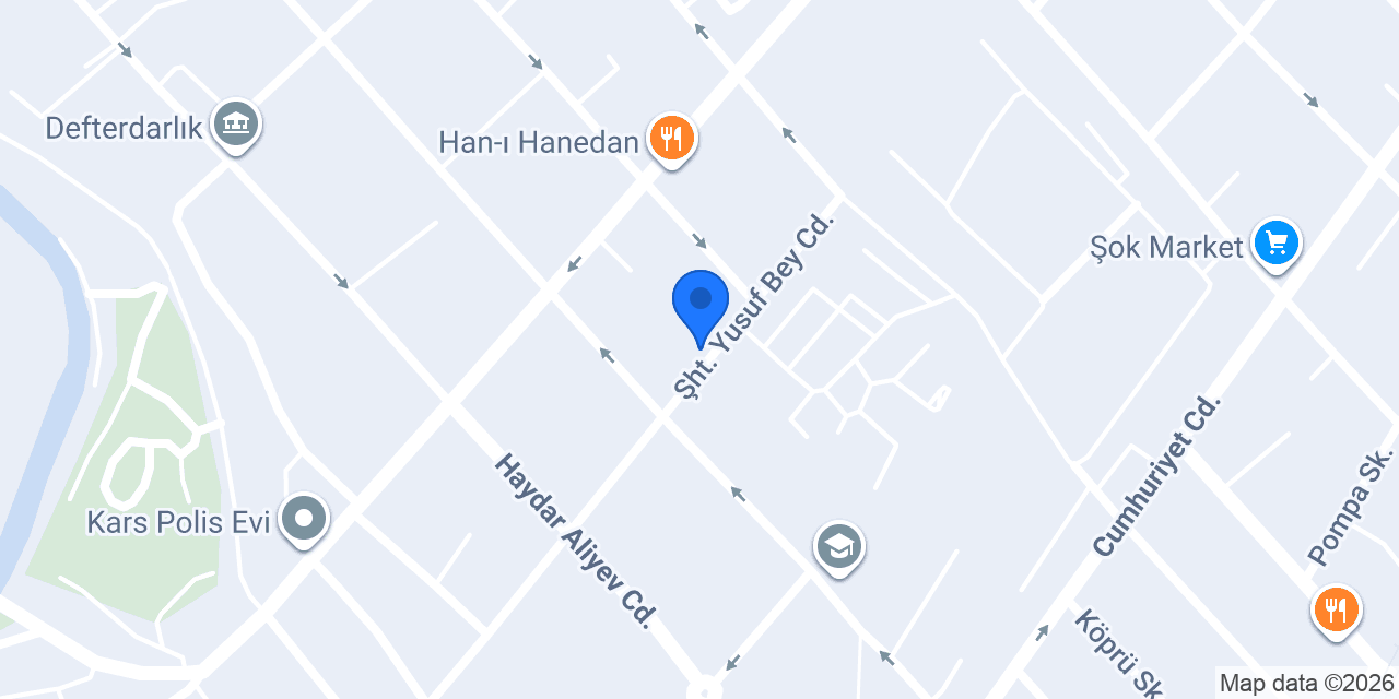 Domino's Pizza Kars Merkez konumu