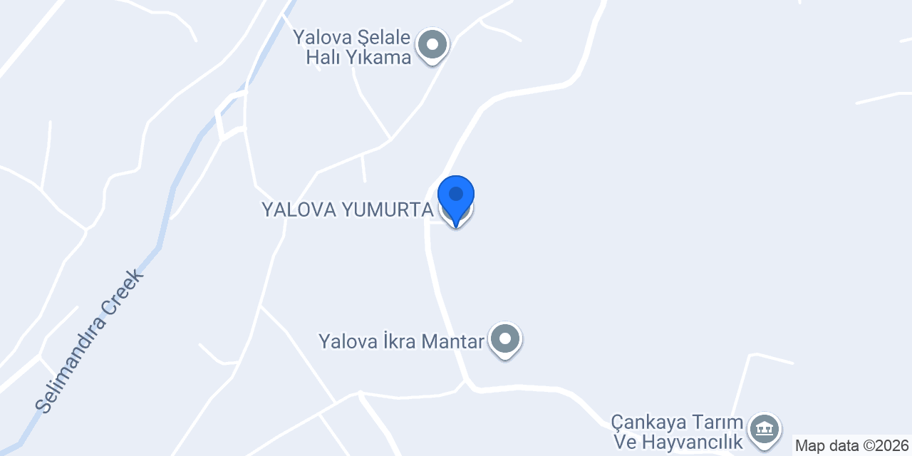YALOVA YUMURTA konumu