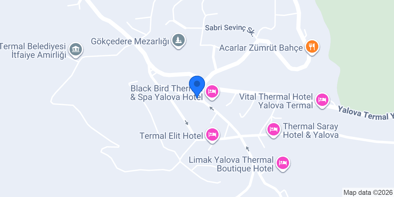 termal çınar motel konumu