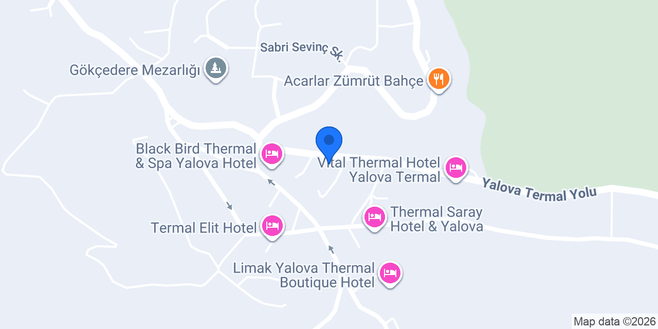TANER ALTILAR TURİZM konumu