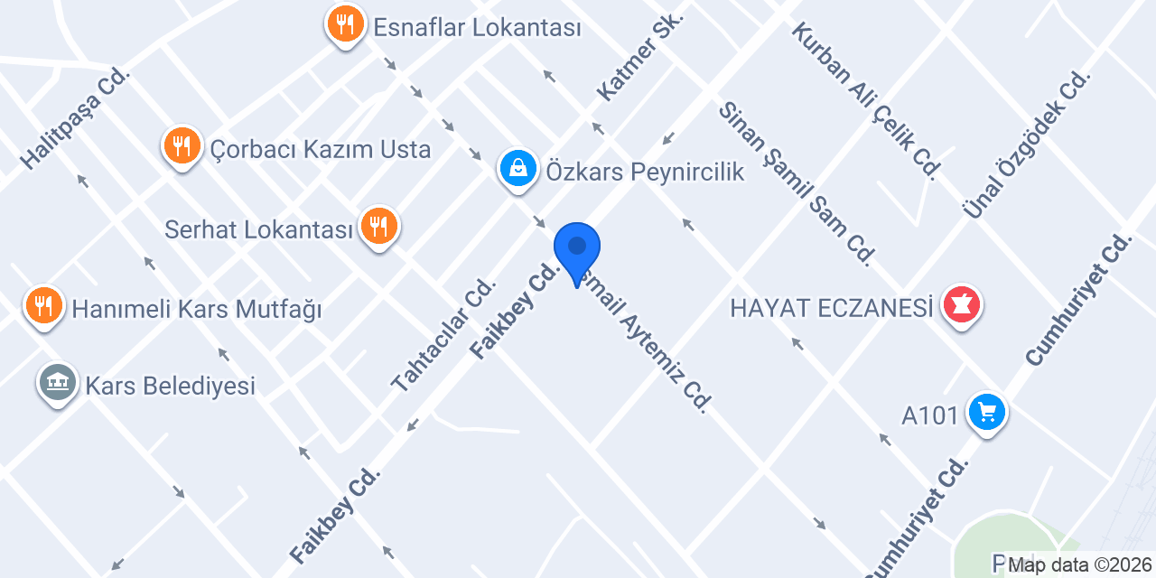 Kars Tandir konumu