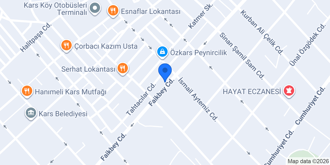Kars Cengiz Turizm konumu