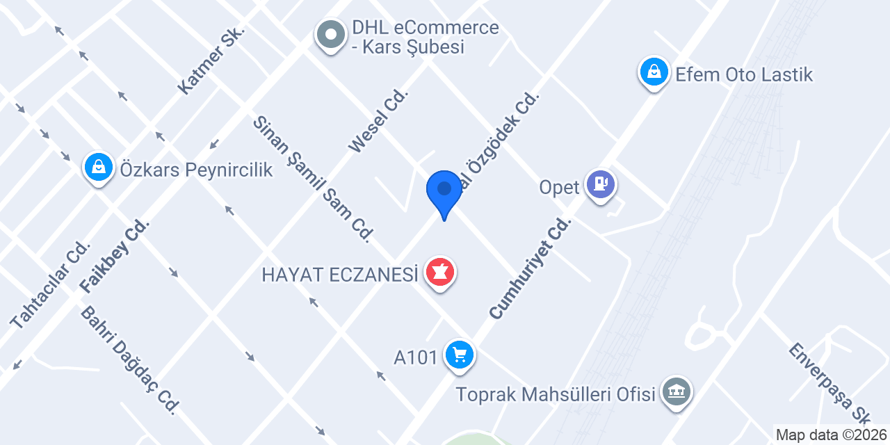 Kuryenet Kars Şubesi konumu