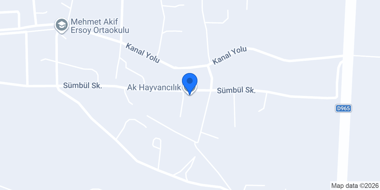 Ak Hayvancılık konumu