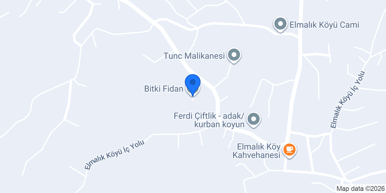 Bitki Fidan konumu