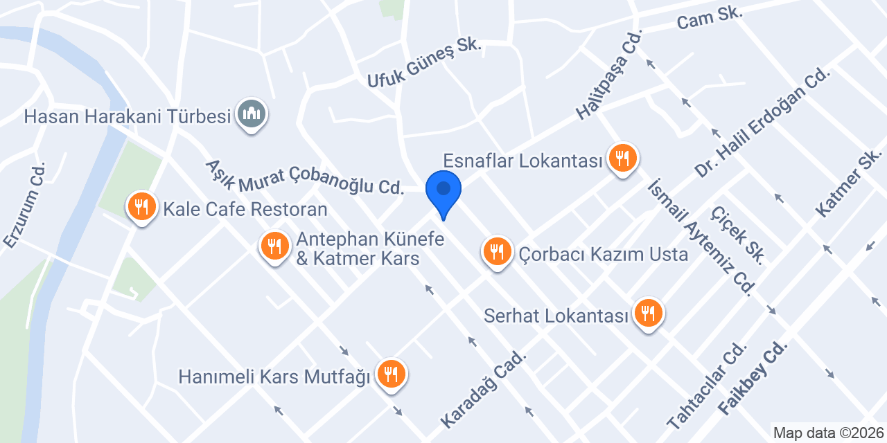 Kars Tur Taksi konumu