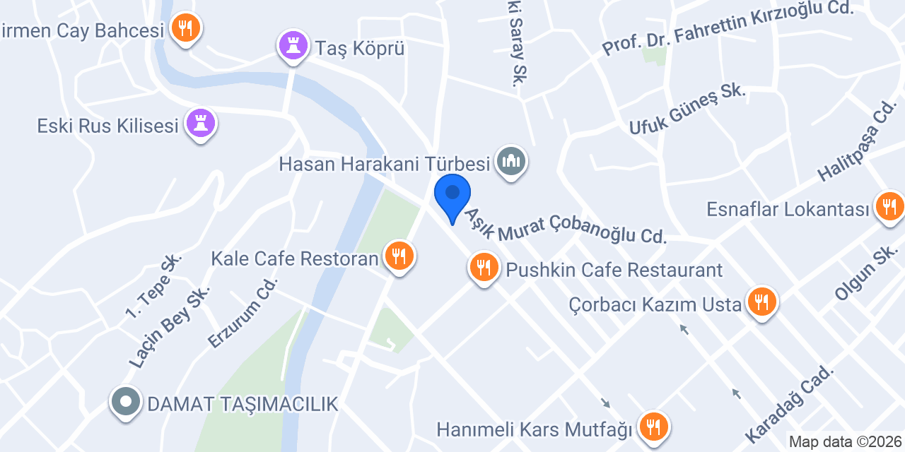 Ahıska Palas Kars konumu