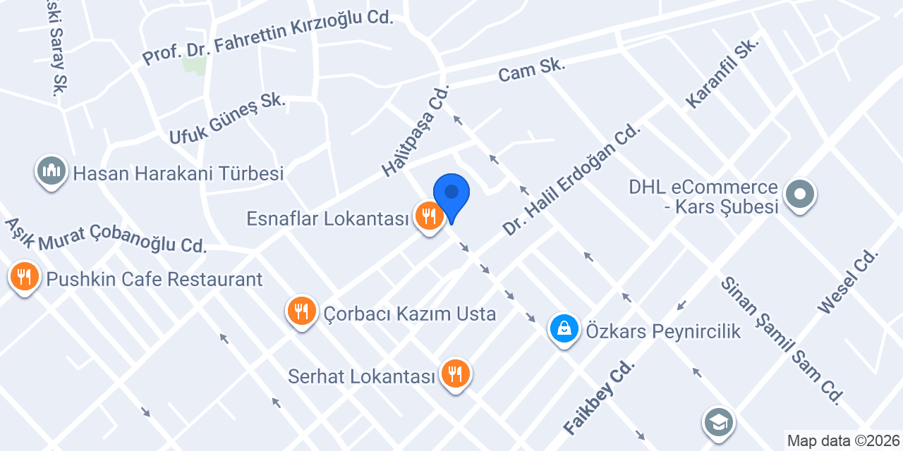 KARS, UĞUR PET VETERİNER KLİNİĞİ konumu