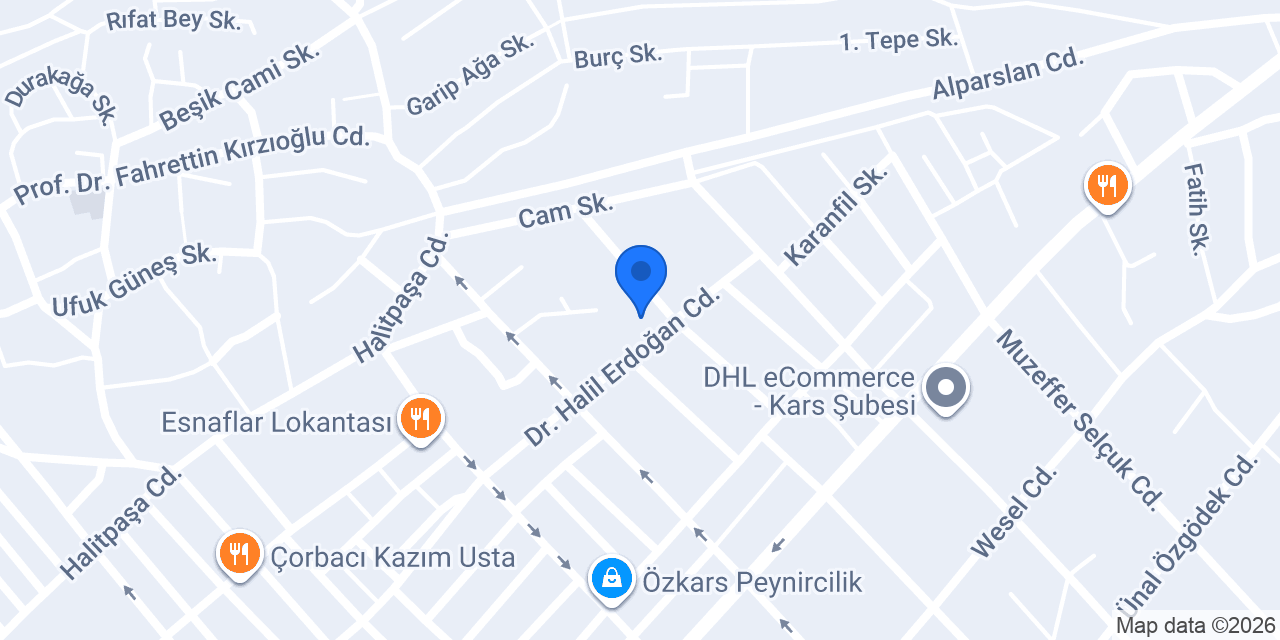 KARS DYNOMARK OTO EKSPERTİZ konumu