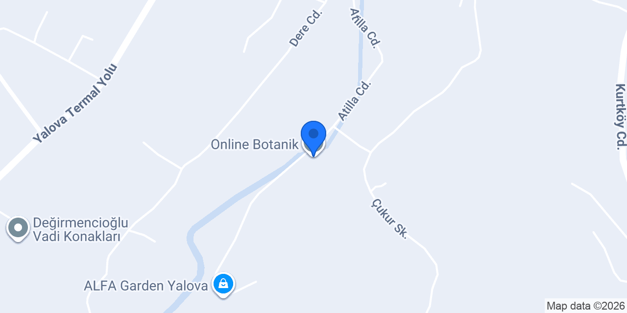 Online Botanik konumu