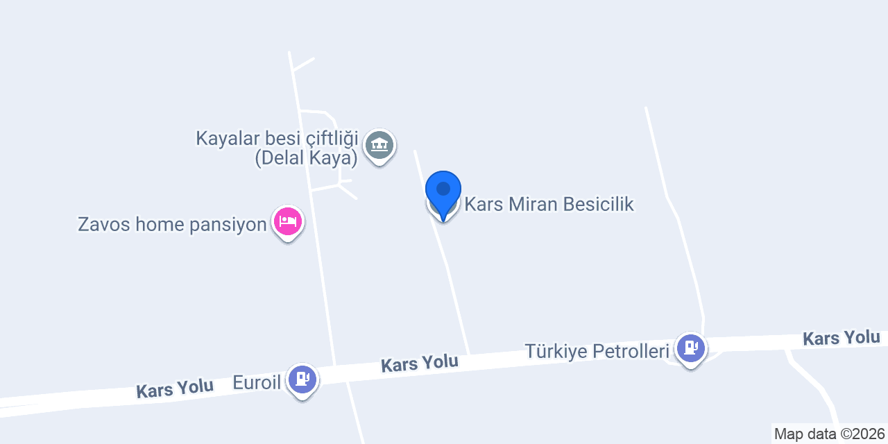 Kars Miran Besicilik konumu
