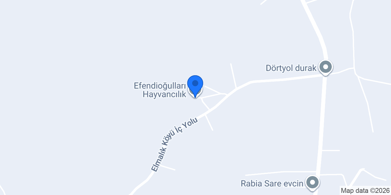 Efendioğulları Hayvancılık konumu