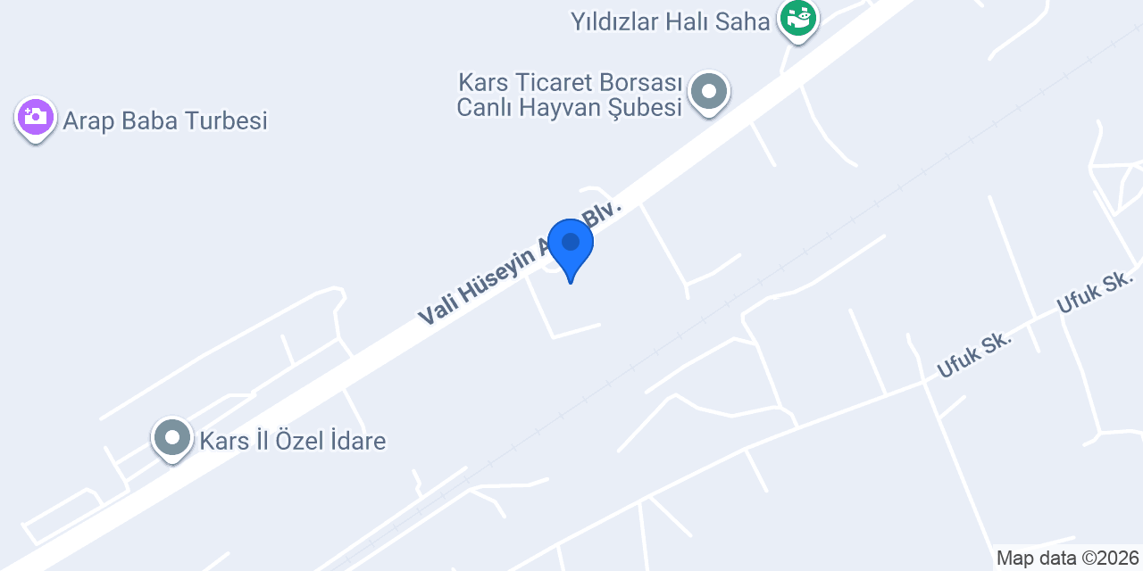 KARS YENİ HAYVAN PAZARI konumu