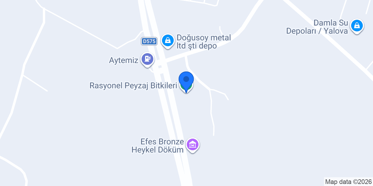 Rasyonel Peyzaj Bitkileri konumu