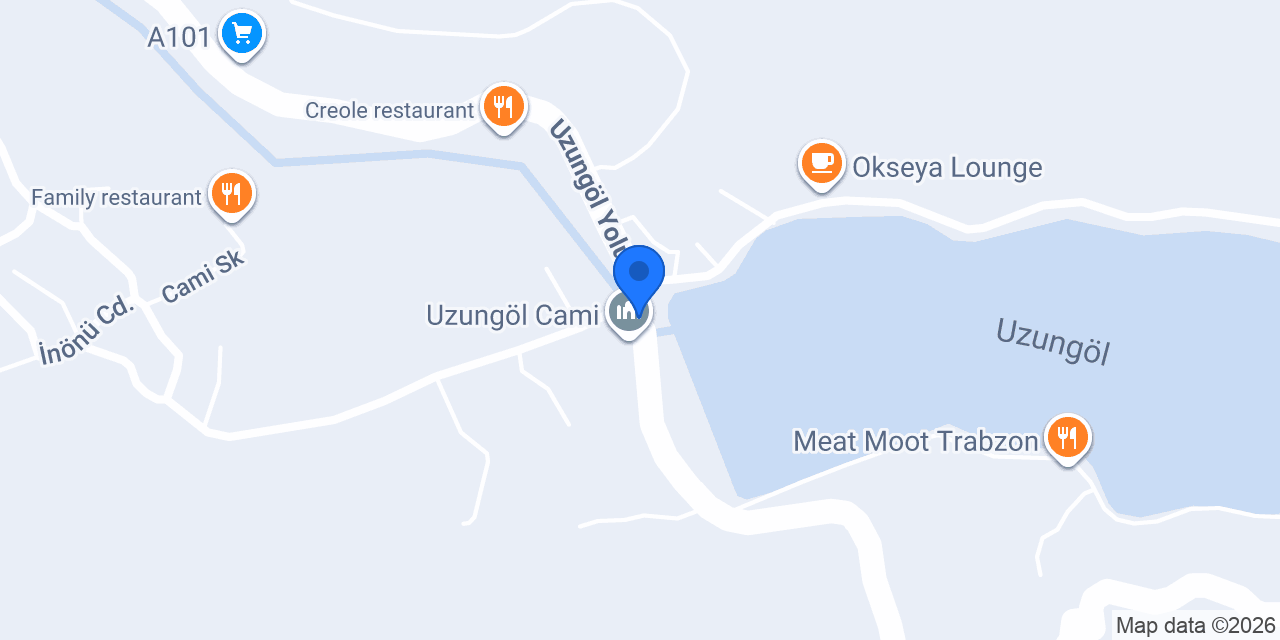 Uzungöl Taksi / سيارة اجره / Adem driver konumu