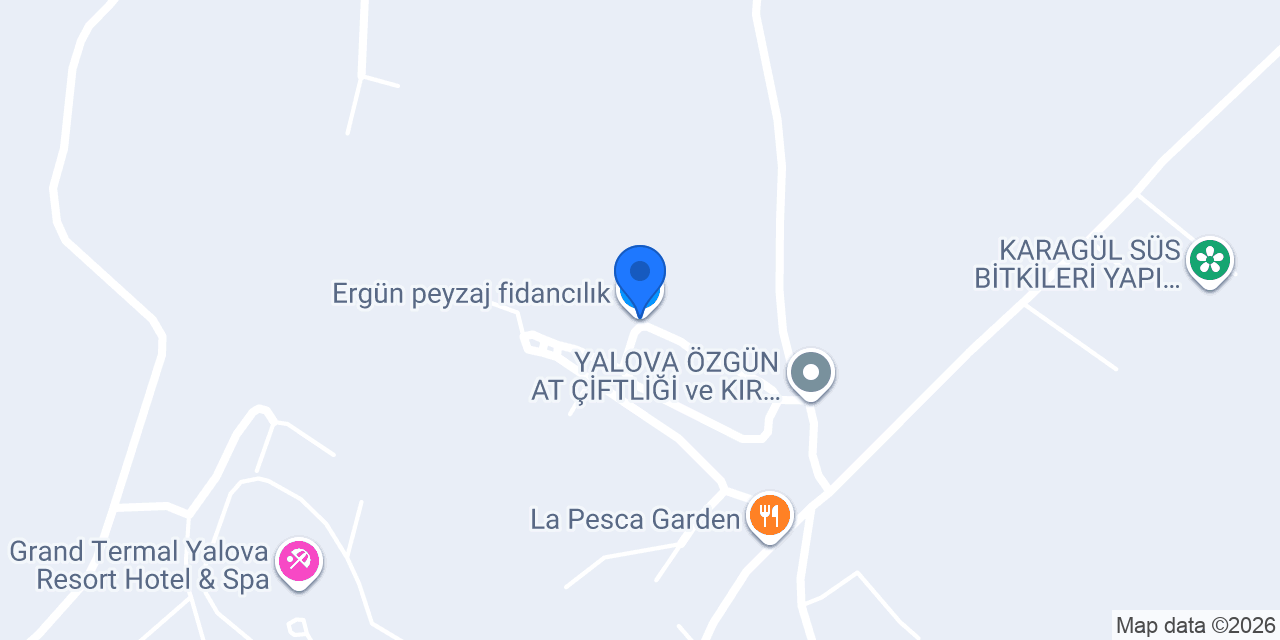 Ergün peyzaj fidancılık konumu