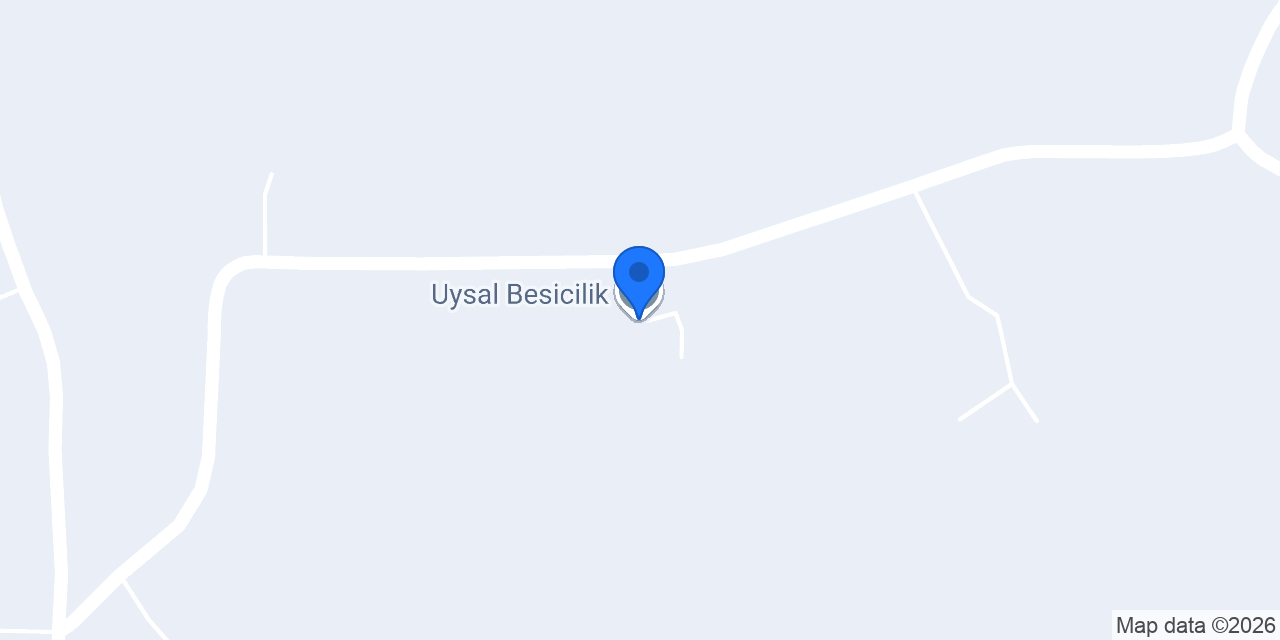 Uysal Besicilik konumu