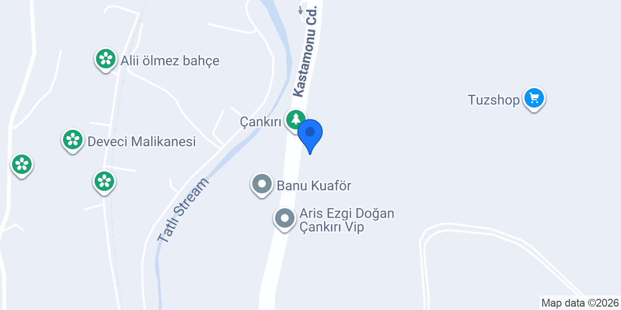 saftuz konumu