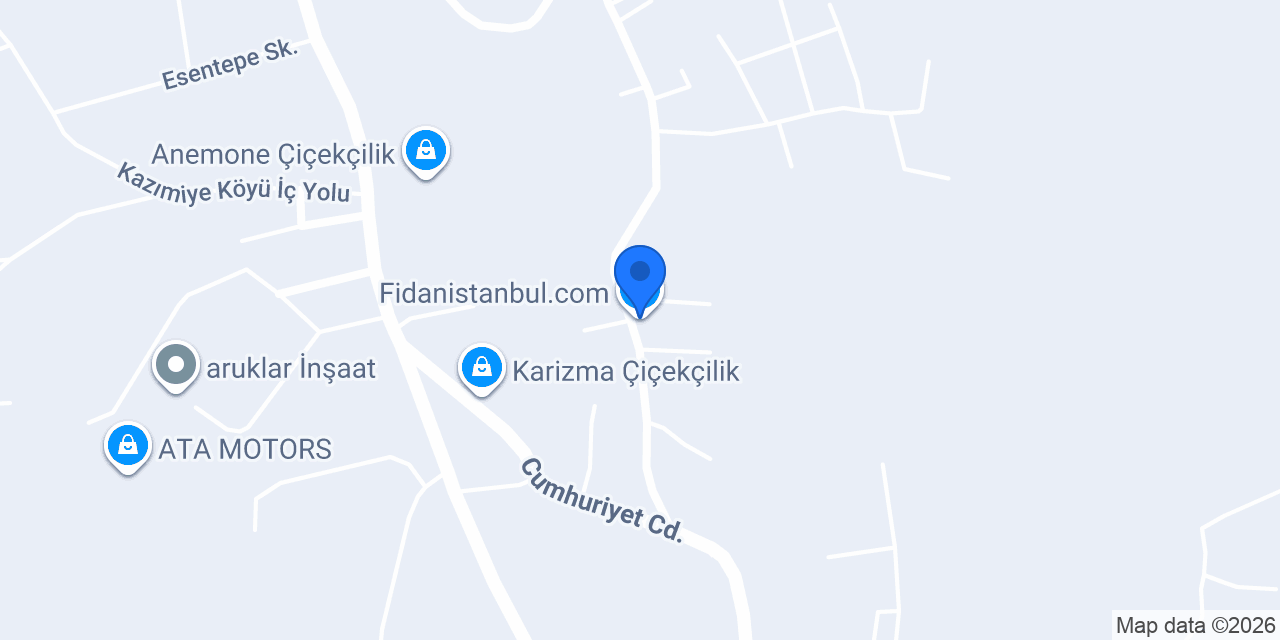 Fidanistanbul.com konumu