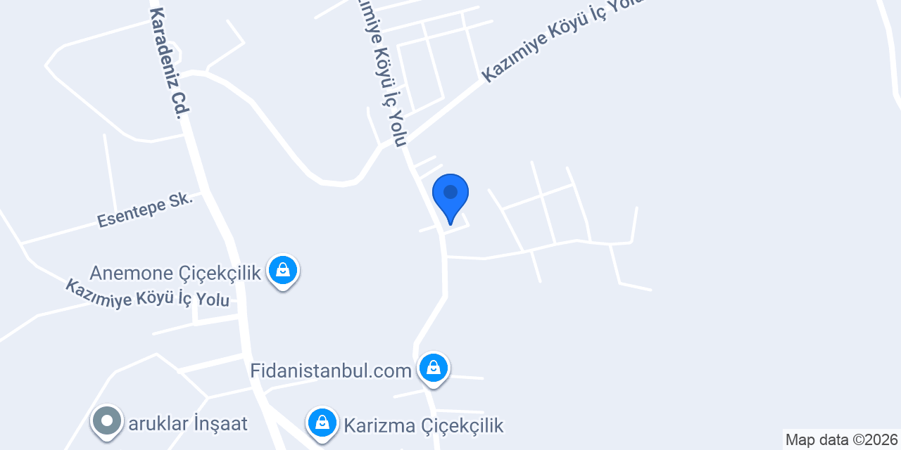 Şehir Dizayn konumu
