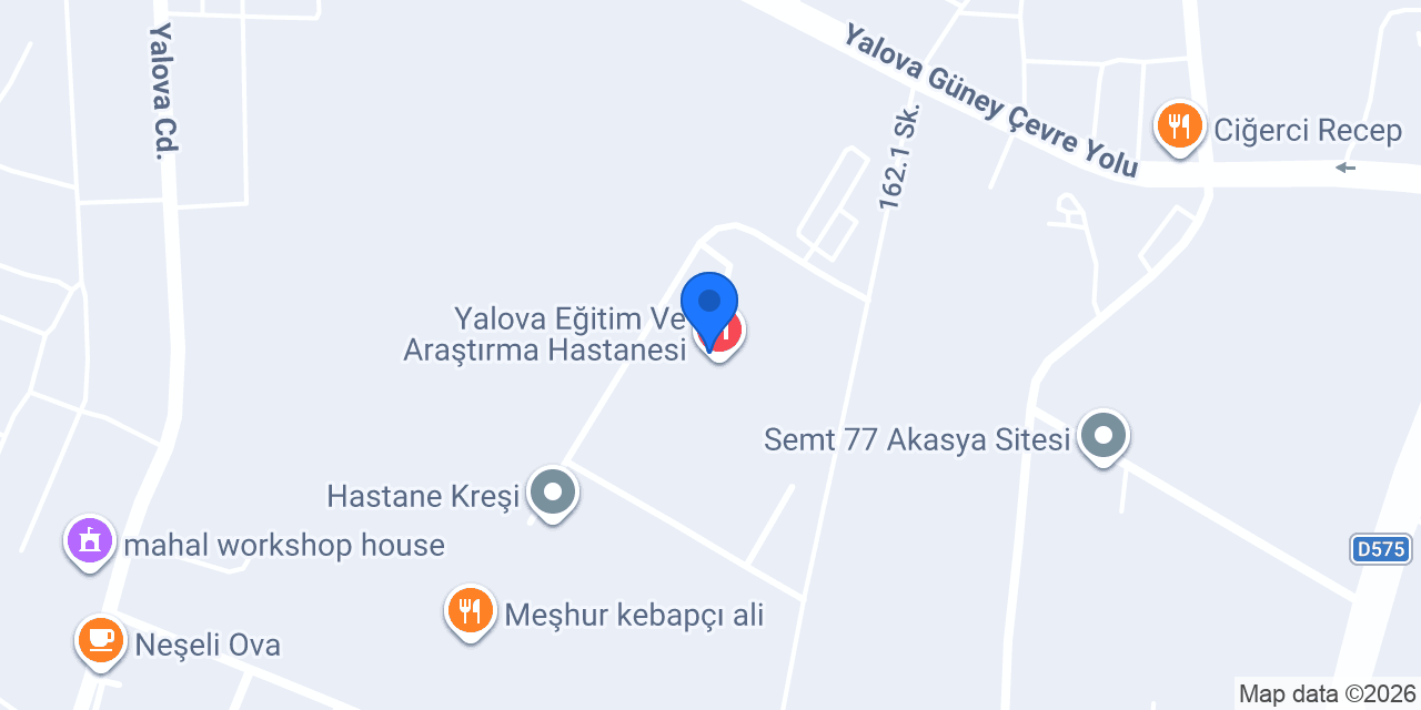 Doktor Özgür Aydın Yalova konumu