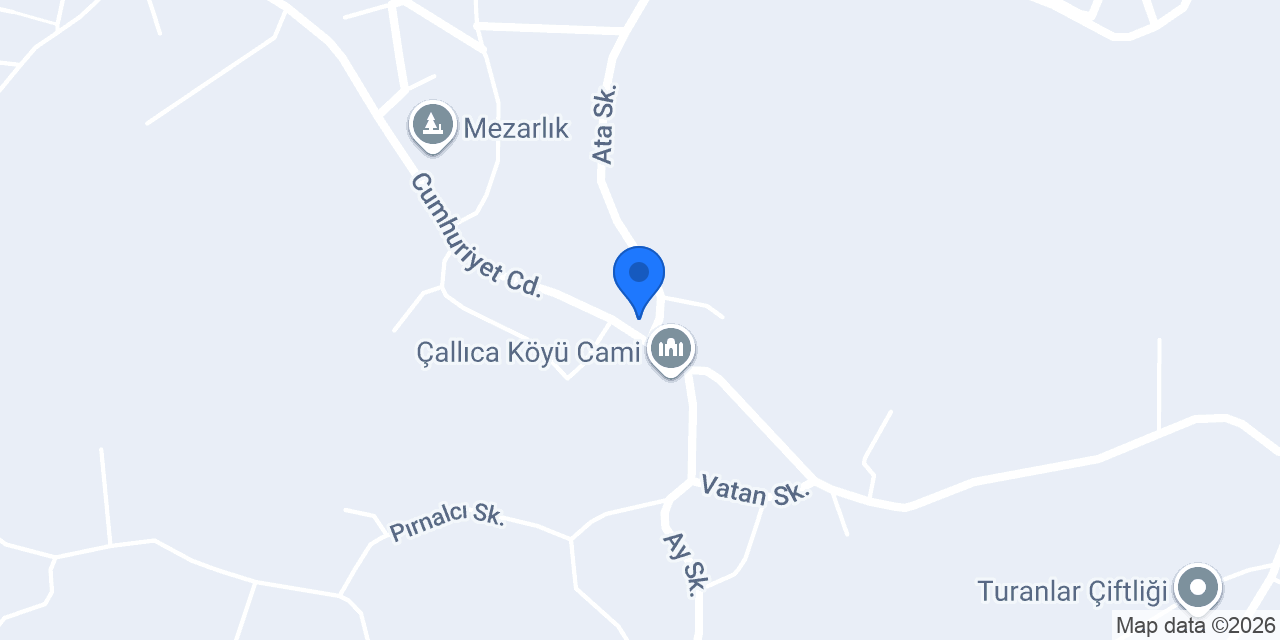 Filiz Turan konumu