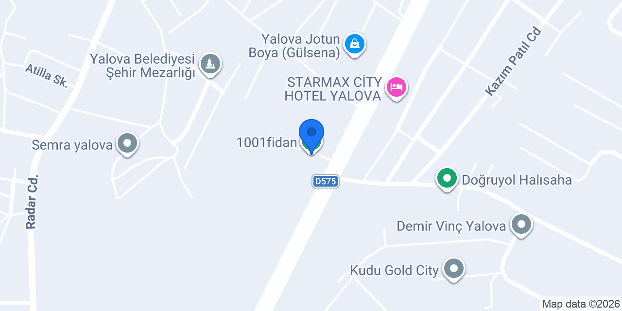 1001fidan konumu