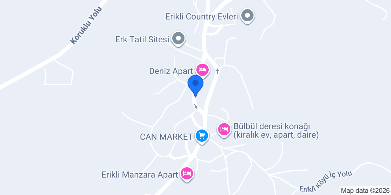 Erikli sahil yeşil Bursa restaurant konumu