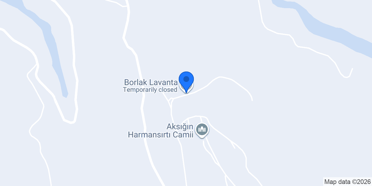 Borlak Lavanta konumu