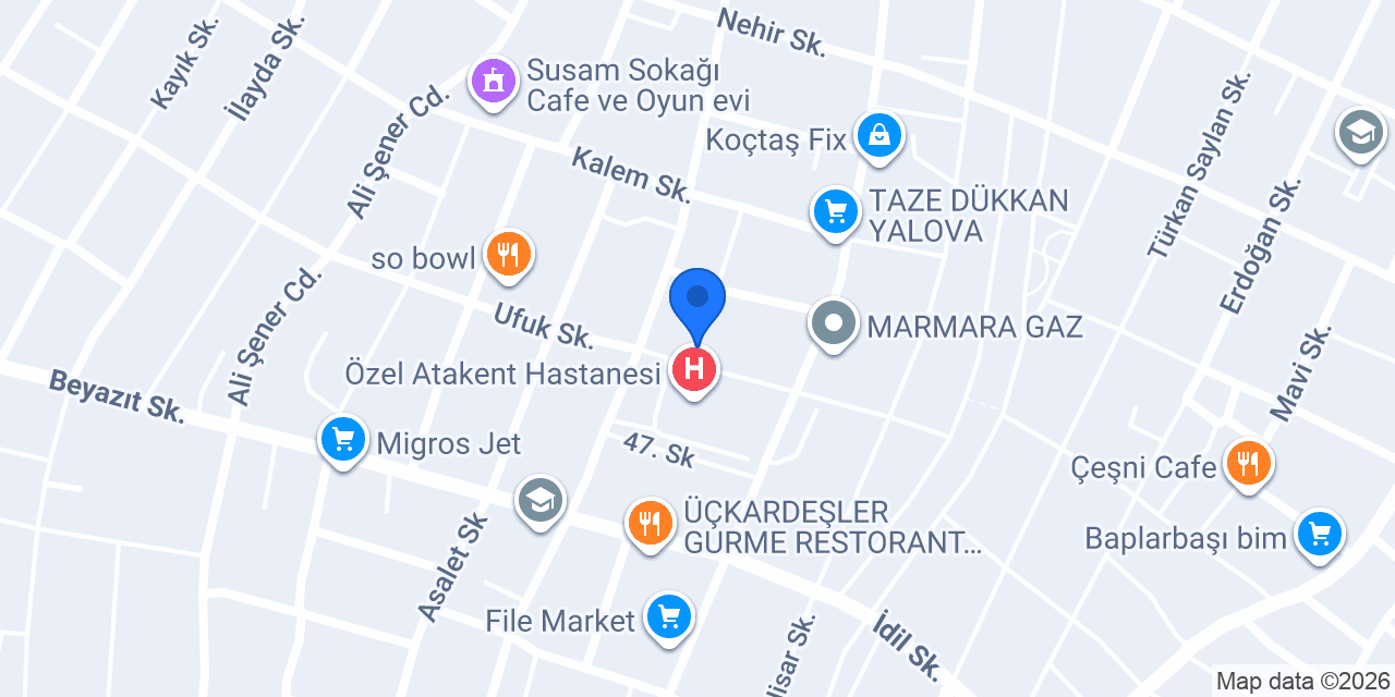 Dİ ARTE konumu