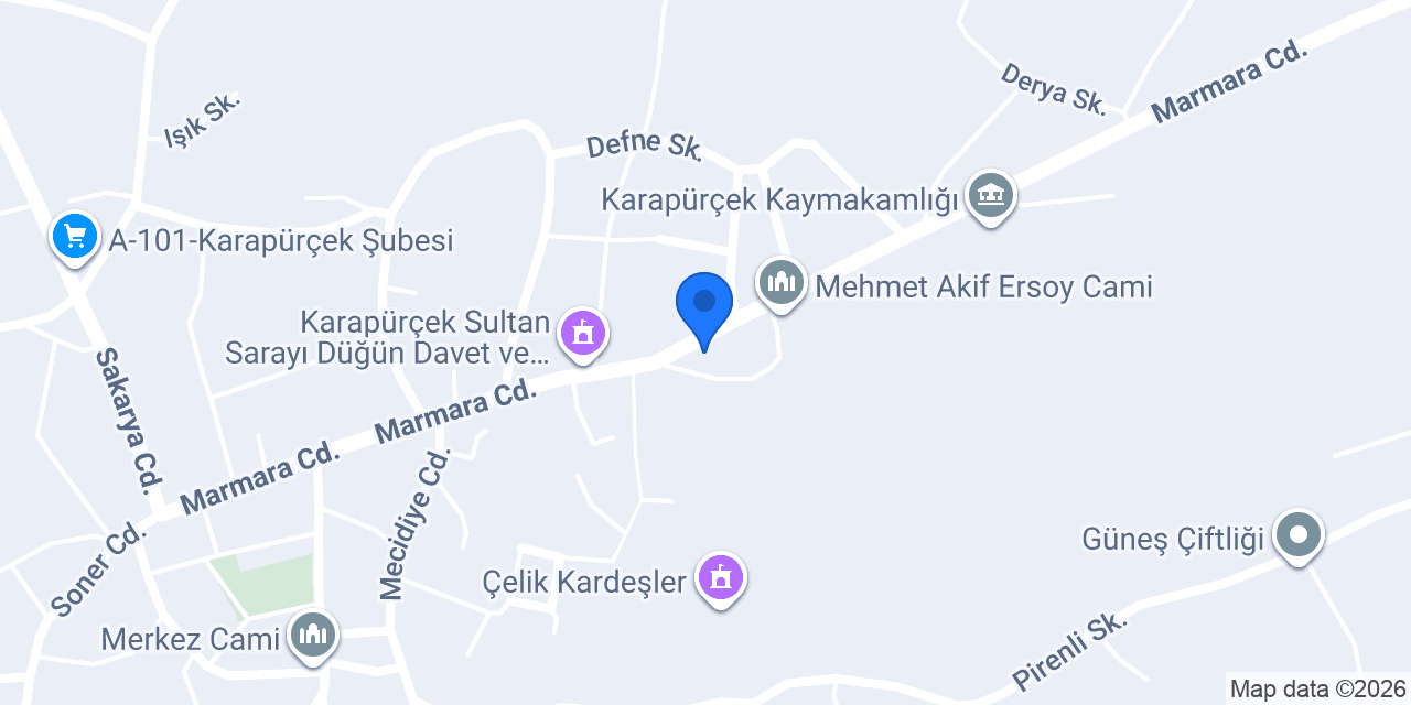 SAKARYA ÖZDEMİR EMLAK konumu